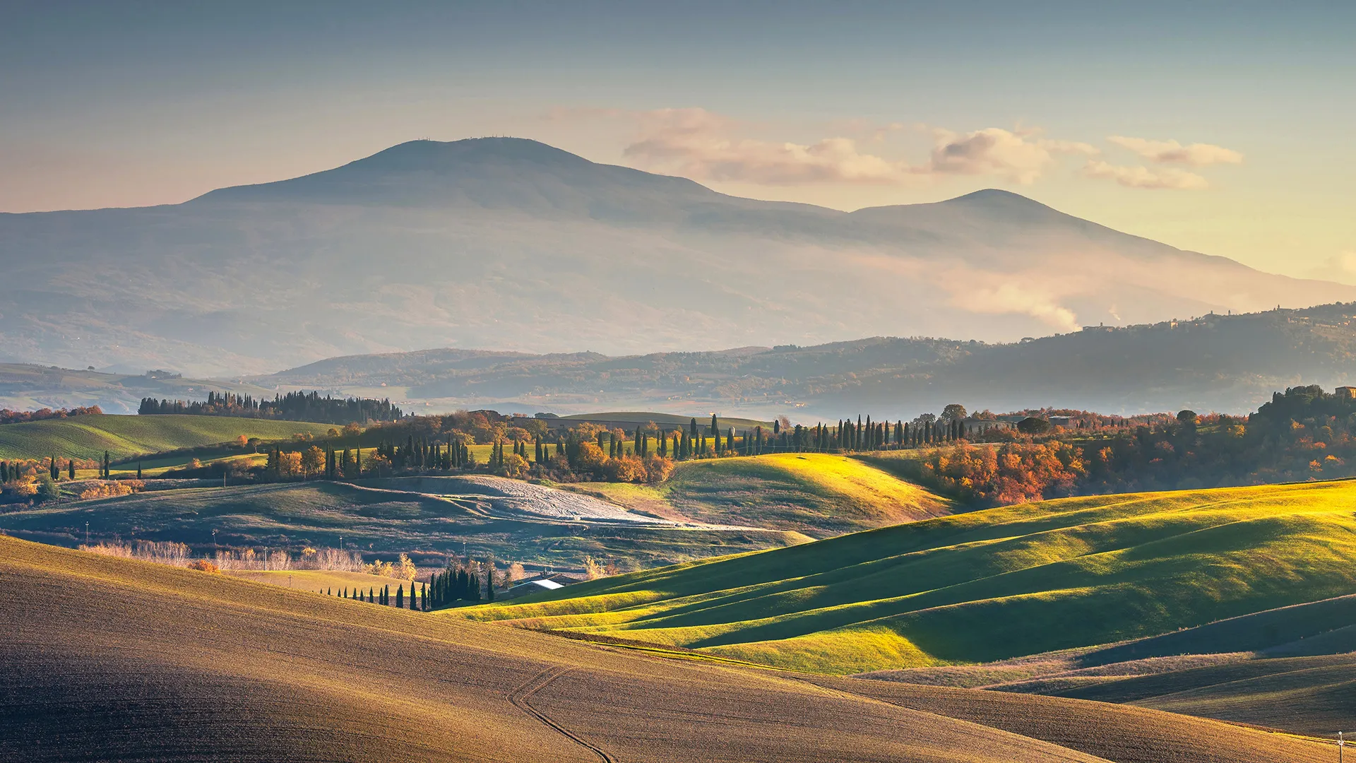 Stosa Gallarate Zone Servite